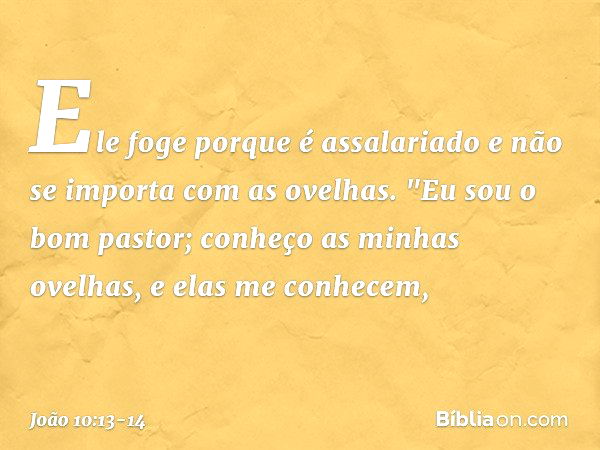 Ele foge porque é assalariado e não se importa com as ovelhas. "Eu sou o bom pastor; conheço as minhas ovelhas, e elas me conhecem, -- João 10:13-14