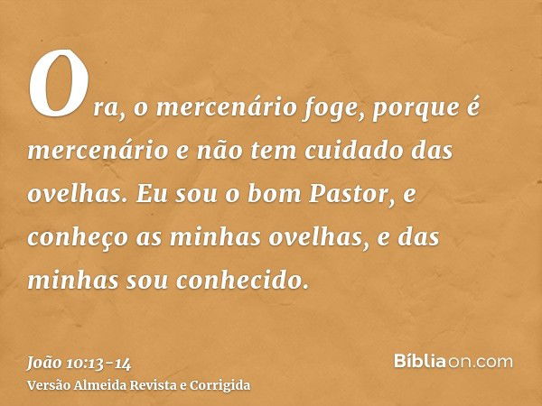 Ora, o mercenário foge, porque é mercenário e não tem cuidado das ovelhas.Eu sou o bom Pastor, e conheço as minhas ovelhas, e das minhas sou conhecido.