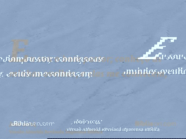 Eu sou o bom pastor; conheço as minhas ovelhas, e elas me conhecem,