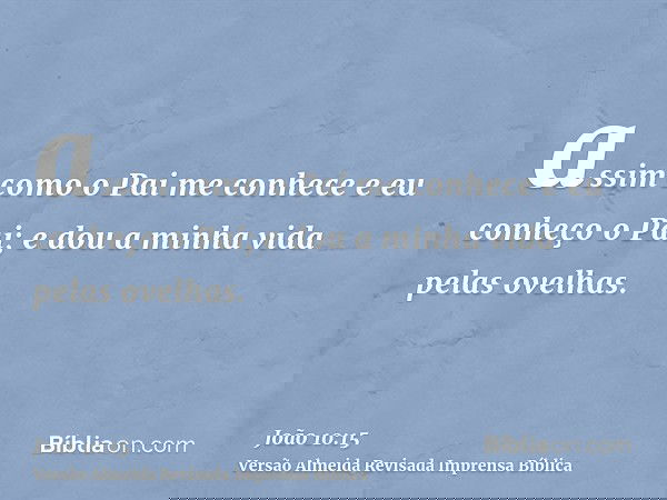 assim como o Pai me conhece e eu conheço o Pai; e dou a minha vida pelas ovelhas.