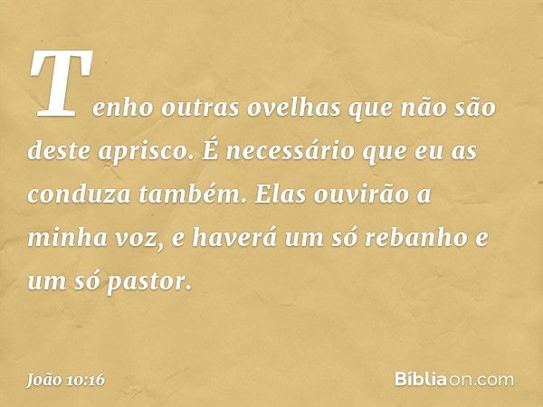 Tenho outras ovelhas que não são deste aprisco. É necessário que eu as conduza também. Elas ouvirão a minha voz, e haverá um só rebanho e um só pastor. -- João 