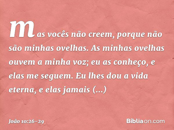 João 10:14-15 » Iluminalma