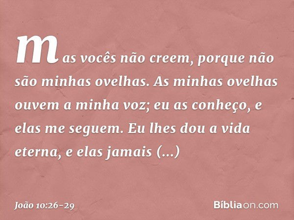 mas vocês não creem, porque não são minhas ovelhas. As minhas ovelhas ouvem a minha voz; eu as conheço, e elas me seguem. Eu lhes dou a vida eterna, e elas jama