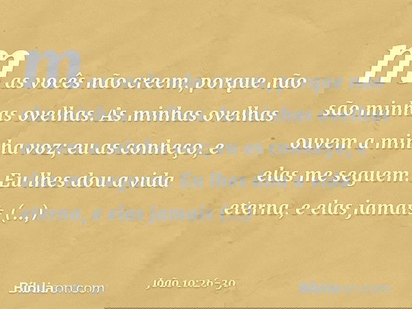 mas vocês não creem, porque não são minhas ovelhas. As minhas ovelhas ouvem a minha voz; eu as conheço, e elas me seguem. Eu lhes dou a vida eterna, e elas jama