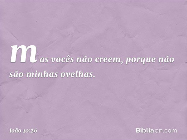 mas vocês não creem, porque não são minhas ovelhas. -- João 10:26