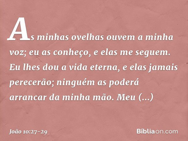 As minhas ovelhas ouvem a minha voz; eu as conheço, e elas me seguem. Eu lhes dou a vida eterna, e elas jamais perecerão; ninguém as poderá arrancar da minha mã