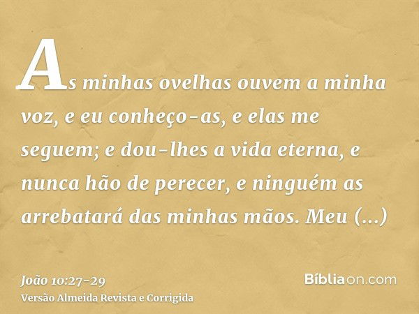 As minhas ovelhas ouvem a minha voz, e eu conheço-as, e elas me seguem;e dou-lhes a vida eterna, e nunca hão de perecer, e ninguém as arrebatará das minhas mãos