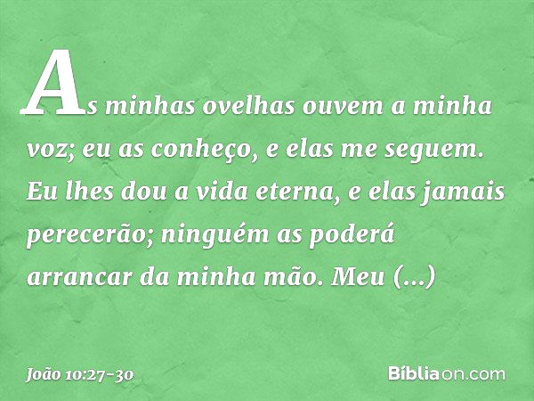 As minhas ovelhas ouvem a minha voz; eu as conheço, e elas me seguem. Eu lhes dou a vida eterna, e elas jamais perecerão; ninguém as poderá arrancar da minha mã