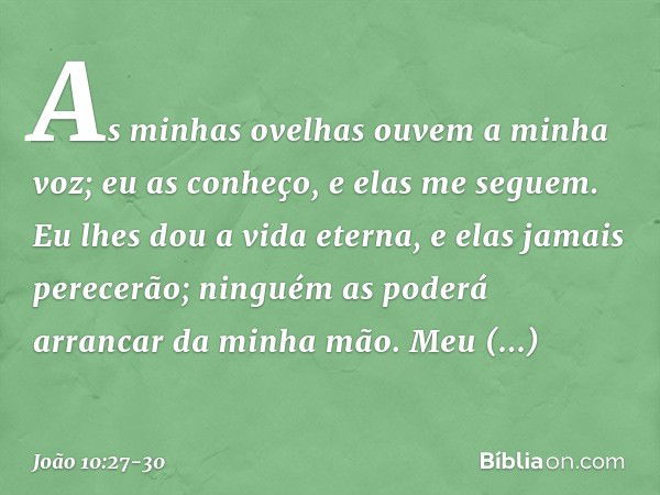 As minhas ovelhas ouvem a minha voz; eu as conheço, e elas me seguem. Eu lhes dou a vida eterna, e elas jamais perecerão; ninguém as poderá arrancar da minha mã