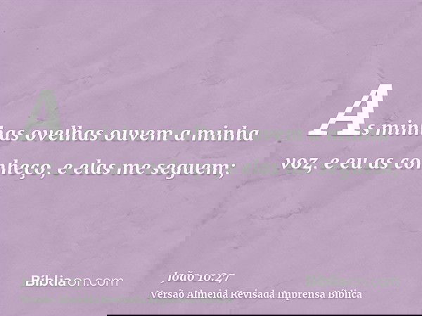 As minhas ovelhas ouvem a minha voz, e eu as conheço, e elas me seguem;
