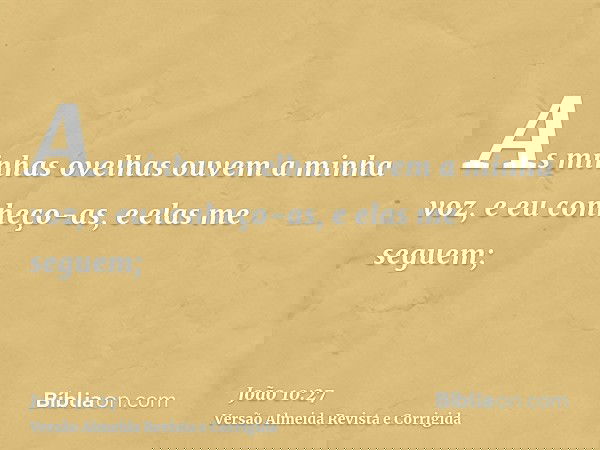 As minhas ovelhas ouvem a minha voz, e eu conheço-as, e elas me seguem;