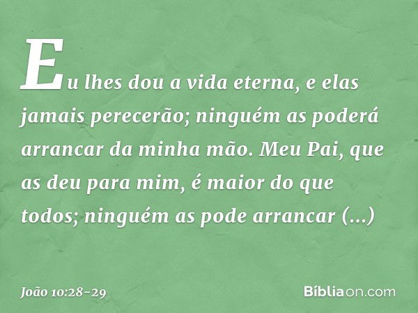 Eu lhes dou a vida eterna, e elas jamais perecerão; ninguém as poderá arrancar da minha mão. Meu Pai, que as deu para mim, é maior do que todos; ninguém as pode