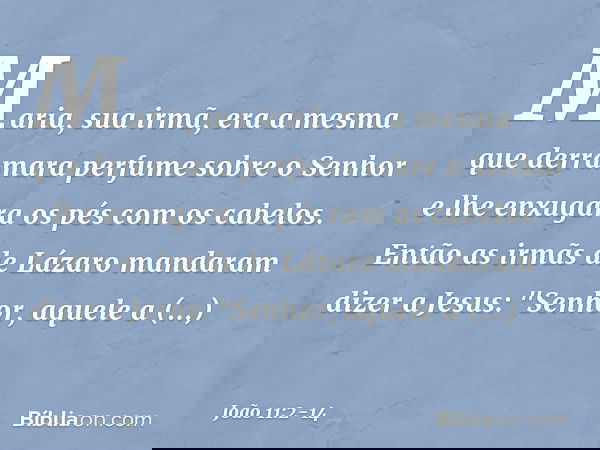 Maria, sua irmã, era a mesma que derramara perfume sobre o Senhor e lhe enxugara os pés com os cabelos. Então as irmãs de Lázaro mandaram dizer a Jesus: "Senhor