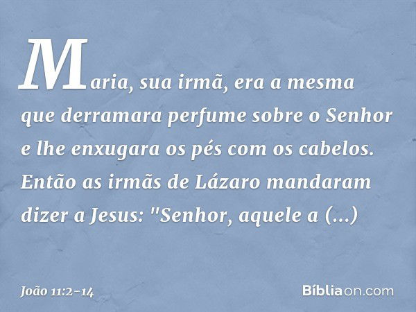 Maria, sua irmã, era a mesma que derramara perfume sobre o Senhor e lhe enxugara os pés com os cabelos. Então as irmãs de Lázaro mandaram dizer a Jesus: "Senhor