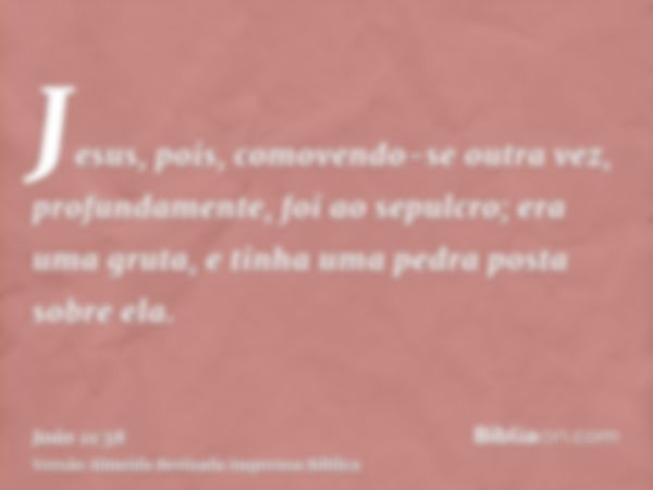 Jesus, pois, comovendo-se outra vez, profundamente, foi ao sepulcro; era uma gruta, e tinha uma pedra posta sobre ela.