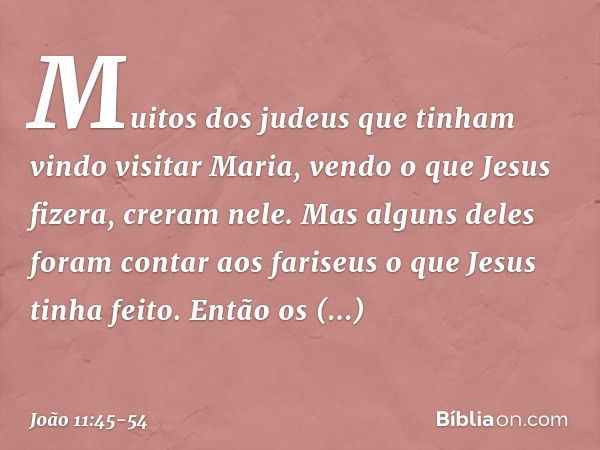 Muitos dos judeus que tinham vindo visitar Maria, vendo o que Jesus fizera, creram nele. Mas alguns deles foram contar aos fariseus o que Jesus tinha feito. Ent