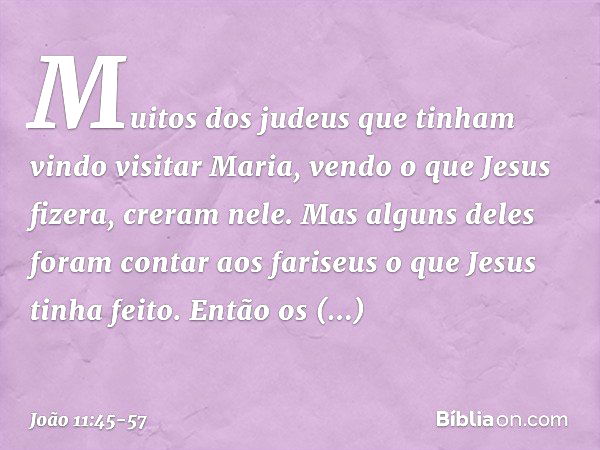 Muitos dos judeus que tinham vindo visitar Maria, vendo o que Jesus fizera, creram nele. Mas alguns deles foram contar aos fariseus o que Jesus tinha feito. Ent