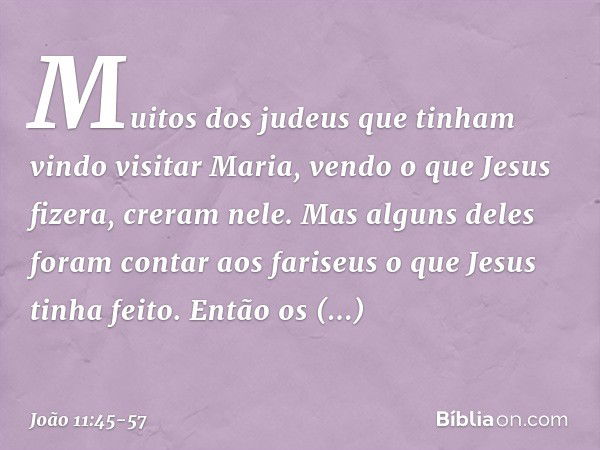 Muitos dos judeus que tinham vindo visitar Maria, vendo o que Jesus fizera, creram nele. Mas alguns deles foram contar aos fariseus o que Jesus tinha feito. Ent