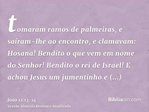 tomaram ramos de palmeiras, e saíram-lhe ao encontro, e clamavam: Hosana! Bendito o que vem em nome do Senhor! Bendito o rei de Israel!E achou Jesus um jumentin