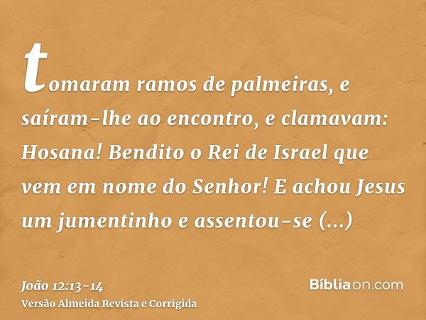 tomaram ramos de palmeiras, e saíram-lhe ao encontro, e clamavam: Hosana! Bendito o Rei de Israel que vem em nome do Senhor!E achou Jesus um jumentinho e assent