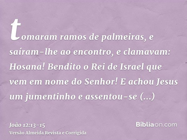 tomaram ramos de palmeiras, e saíram-lhe ao encontro, e clamavam: Hosana! Bendito o Rei de Israel que vem em nome do Senhor!E achou Jesus um jumentinho e assent