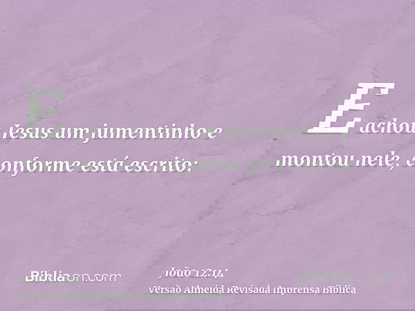 E achou Jesus um jumentinho e montou nele, conforme está escrito: