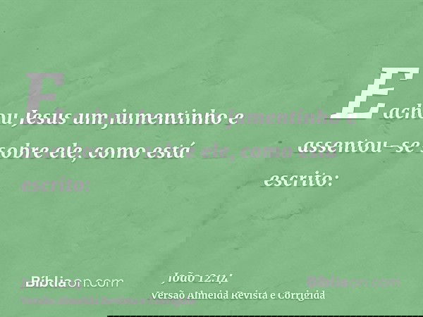 E achou Jesus um jumentinho e assentou-se sobre ele, como está escrito: