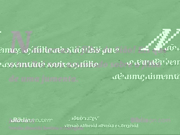 Não temas, ó filha de Sião! Eis que o teu Rei vem assentado sobre o filho de uma jumenta.