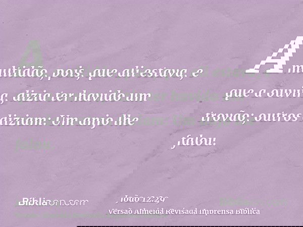 A multidão, pois, que ali estava, e que a ouvira, dizia ter havido um trovão; outros diziam: Um anjo lhe falou.
