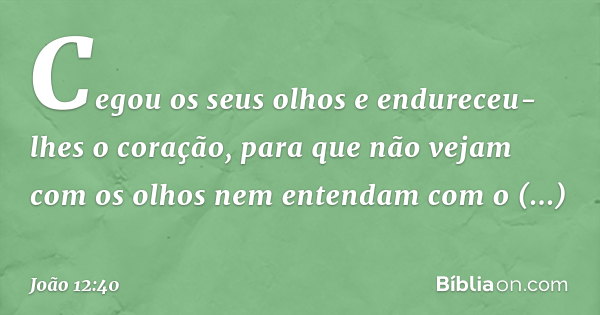 João 12 40 Bíblia João 12 40 Bíblia