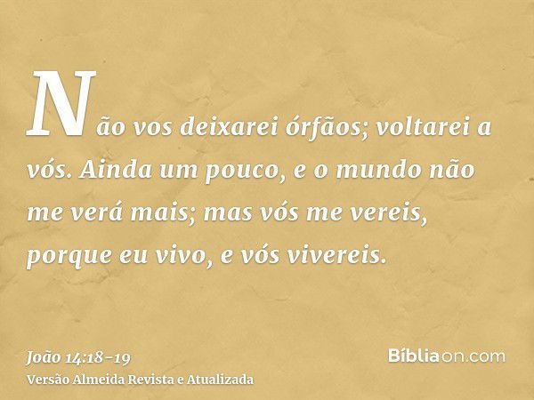 Não vos deixarei órfãos; voltarei a vós.Ainda um pouco, e o mundo não me verá mais; mas vós me vereis, porque eu vivo, e vós vivereis.