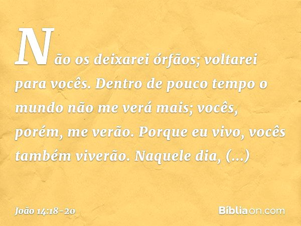 Não os deixarei órfãos; voltarei para vocês. Dentro de pouco tempo o mundo não me verá mais; vocês, porém, me verão. Porque eu vivo, vocês também viverão. Naque