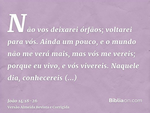 Não vos deixarei órfãos; voltarei para vós.Ainda um pouco, e o mundo não me verá mais, mas vós me vereis; porque eu vivo, e vós vivereis.Naquele dia, conhecerei