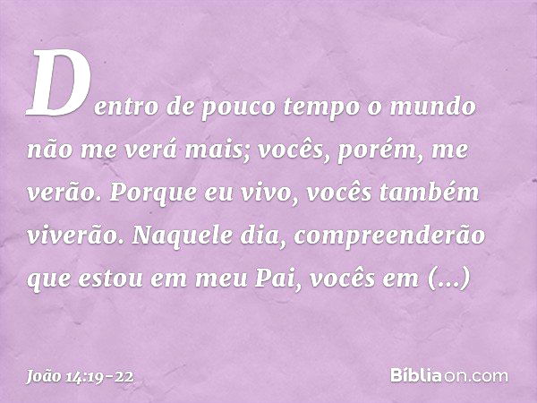 Dentro de pouco tempo o mundo não me verá mais; vocês, porém, me verão. Porque eu vivo, vocês também viverão. Naquele dia, compreenderão que estou em meu Pai, v