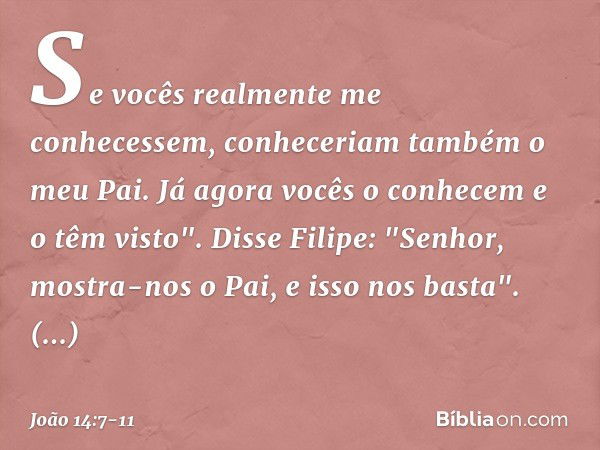 Se vocês realmente me conhecessem, conheceriam também o meu Pai. Já agora vocês o conhecem e o têm visto". Disse Filipe: "Senhor, mostra-nos o Pai, e isso nos b