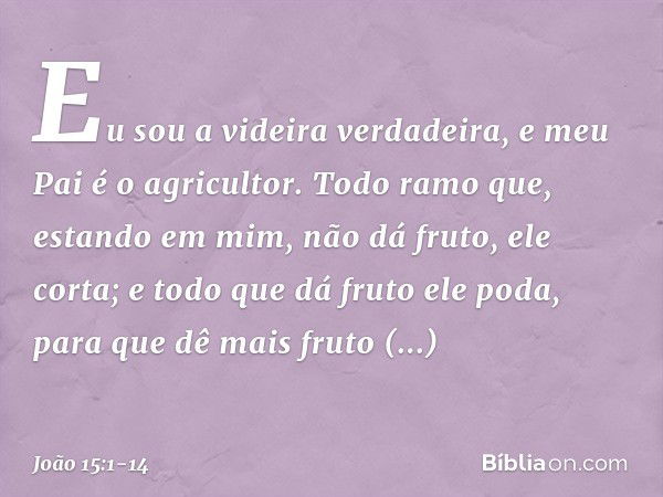 "Eu sou a videira verdadeira, e meu Pai é o agricultor. Todo ramo que, estando em mim, não dá fruto, ele corta; e todo que dá fruto ele poda, para que dê mais f