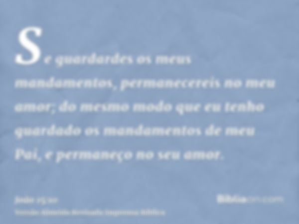 Se guardardes os meus mandamentos, permanecereis no meu amor; do mesmo modo que eu tenho guardado os mandamentos de meu Pai, e permaneço no seu amor.