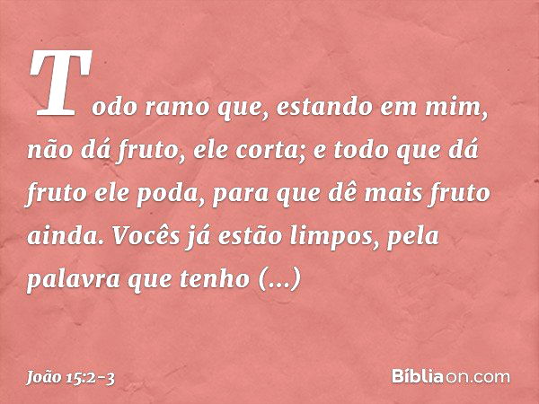 Todo ramo que, estando em mim, não dá fruto, ele corta; e todo que dá fruto ele poda, para que dê mais fruto ainda. Vocês já estão limpos, pela palavra que tenh