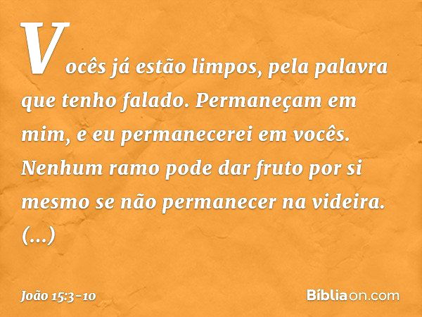 Vocês já estão limpos, pela palavra que tenho falado. Permaneçam em mim, e eu permanecerei em vocês. Nenhum ramo pode dar fruto por si mesmo se não permanecer n