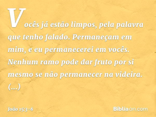 Vocês já estão limpos, pela palavra que tenho falado. Permaneçam em mim, e eu permanecerei em vocês. Nenhum ramo pode dar fruto por si mesmo se não permanecer n