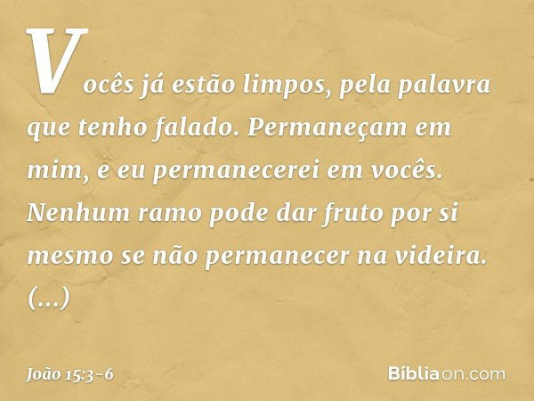 Vocês já estão limpos, pela palavra que tenho falado. Permaneçam em mim, e eu permanecerei em vocês. Nenhum ramo pode dar fruto por si mesmo se não permanecer n