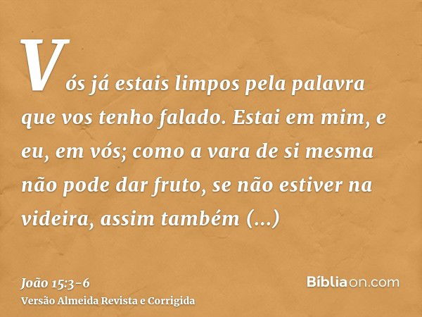 Vós já estais limpos pela palavra que vos tenho falado.Estai em mim, e eu, em vós; como a vara de si mesma não pode dar fruto, se não estiver na videira, assim 