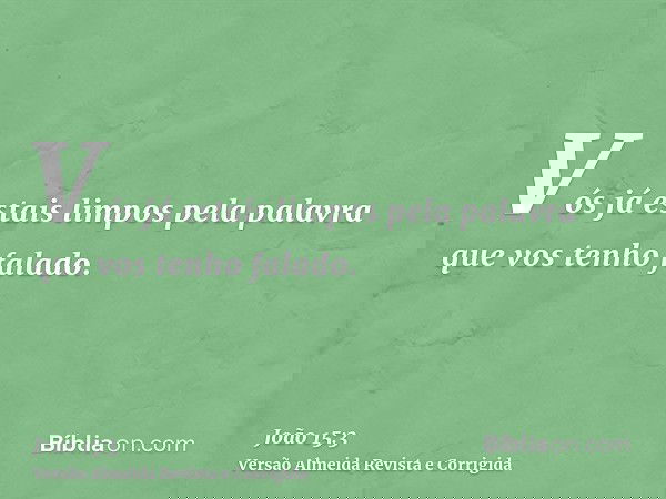Vós já estais limpos pela palavra que vos tenho falado.