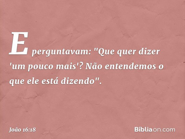 E perguntavam: "Que quer dizer 'um pouco mais'? Não entendemos o que ele está dizendo". -- João 16:18