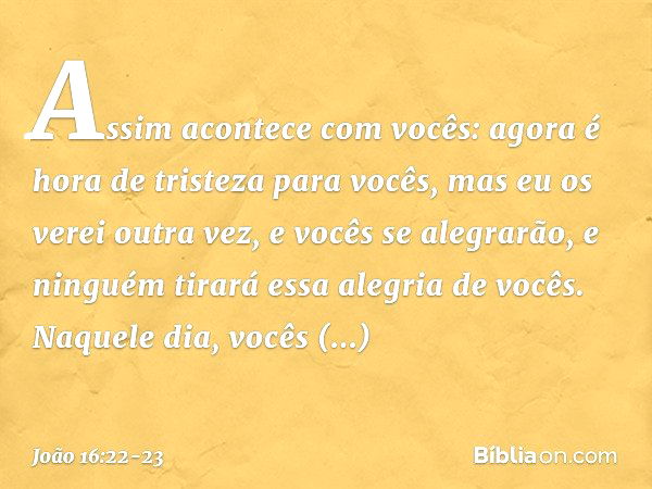 Assim acontece com vocês: agora é hora de tristeza para vocês, mas eu os verei outra vez, e vocês se alegrarão, e ninguém tirará essa alegria de vocês. Naquele 