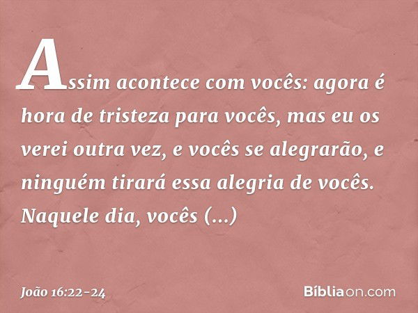 Assim acontece com vocês: agora é hora de tristeza para vocês, mas eu os verei outra vez, e vocês se alegrarão, e ninguém tirará essa alegria de vocês. Naquele 