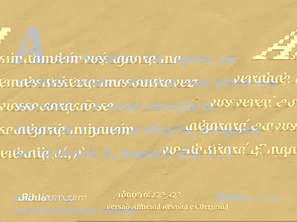 Assim também vós, agora, na verdade, tendes tristeza; mas outra vez vos verei, e o vosso coração se alegrará, e a vossa alegria, ninguém vo-la tirará.E, naquele