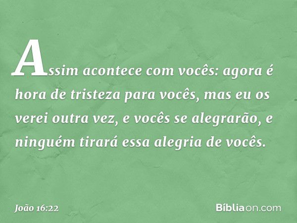 Assim acontece com vocês: agora é hora de tristeza para vocês, mas eu os verei outra vez, e vocês se alegrarão, e ninguém tirará essa alegria de vocês. -- João 