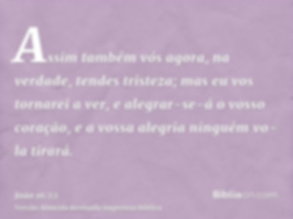 Assim também vós agora, na verdade, tendes tristeza; mas eu vos tornarei a ver, e alegrar-se-á o vosso coração, e a vossa alegria ninguém vo-la tirará.