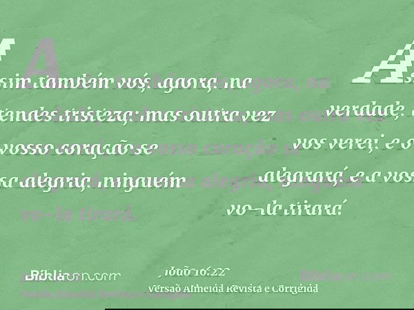 Assim também vós, agora, na verdade, tendes tristeza; mas outra vez vos verei, e o vosso coração se alegrará, e a vossa alegria, ninguém vo-la tirará.